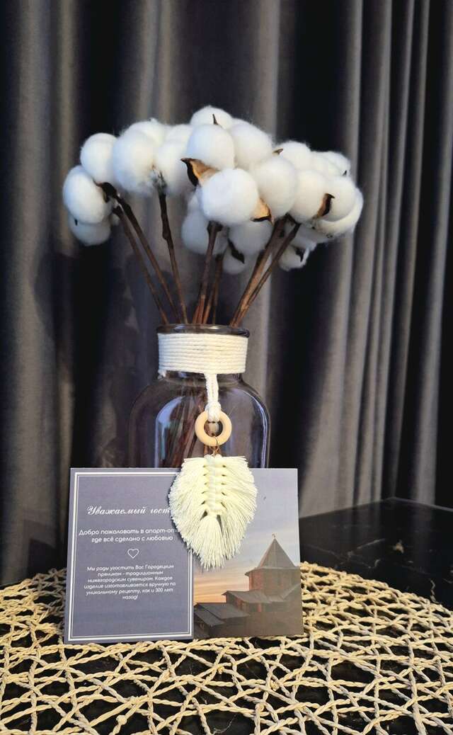 Апарт-отель 9 Ночей Нижний Новгород-63